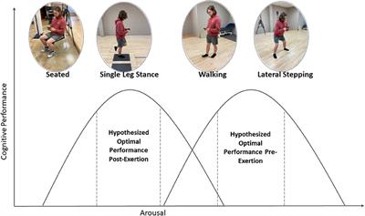 Changes in dual-task cognitive performance elicited by physical exertion vary with motor task